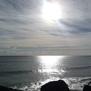 Meet your Posher, Lynne